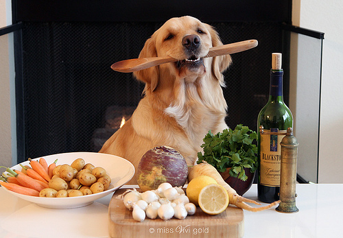 Comida Natural para Cachorro